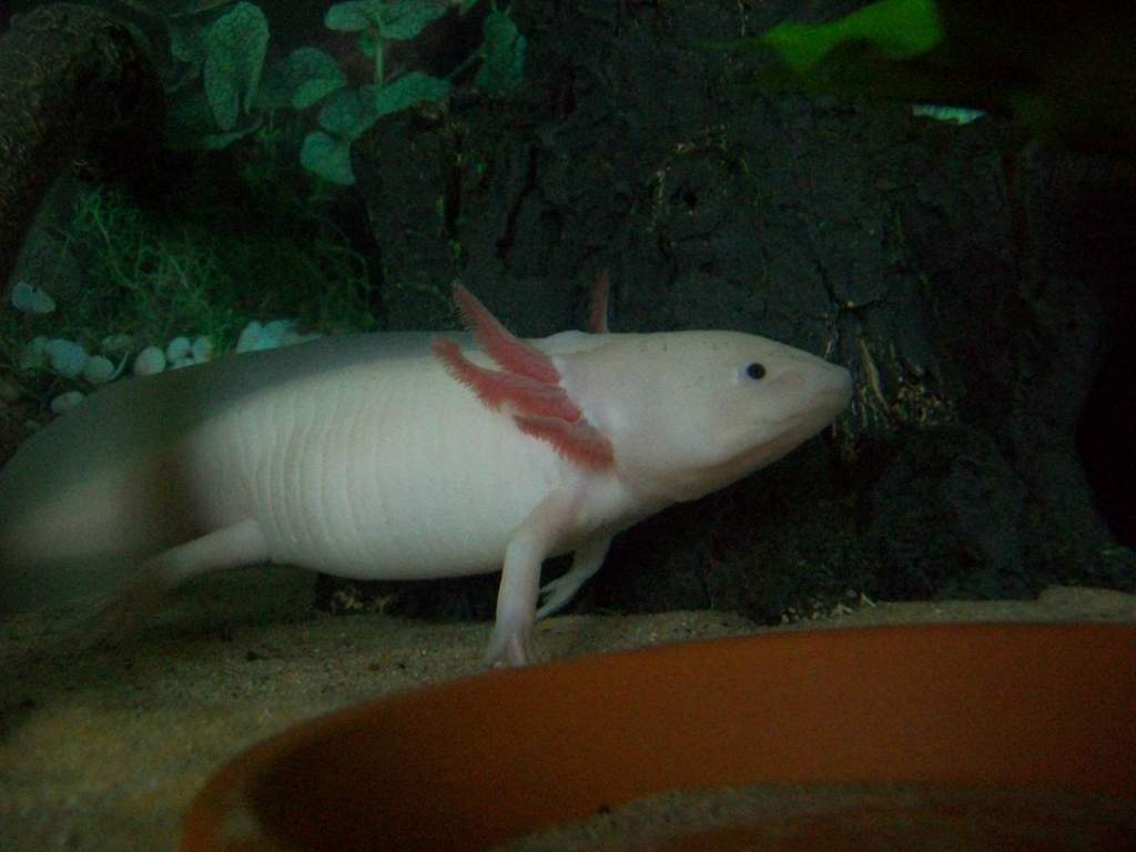 shhhh im hunting worms