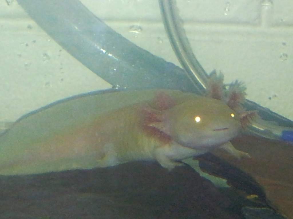 shhhhh im hunting worms :D