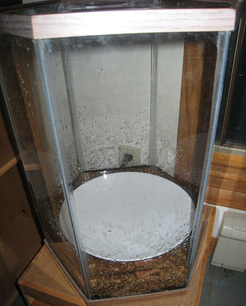 shrimp tank4 - preparing to pour in water.