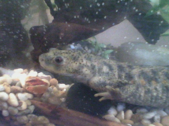 Shuzo ^^
