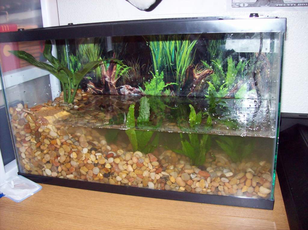 Side view of tank.

**NOTE: Water appears cloudy because it was very recently dumped into the tank just before the photos were taken, as well as numer