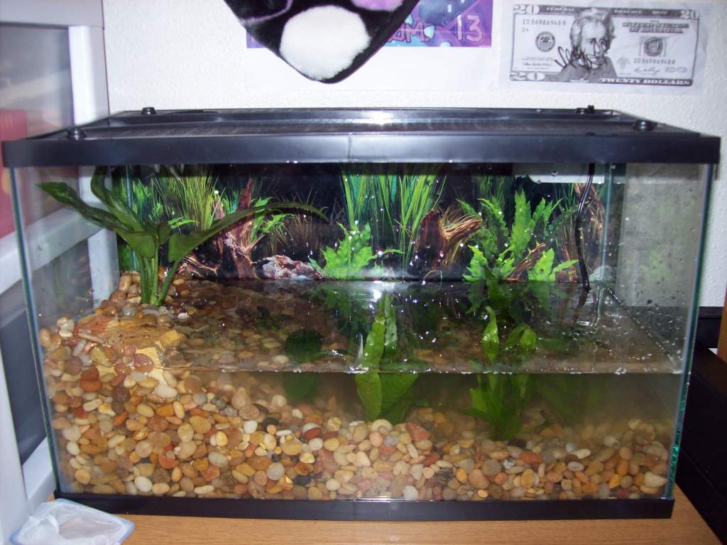 Side view of tank.

**NOTE: Water appears cloudy because it was very recently dumped into the tank just before the photos were taken, as well as numer