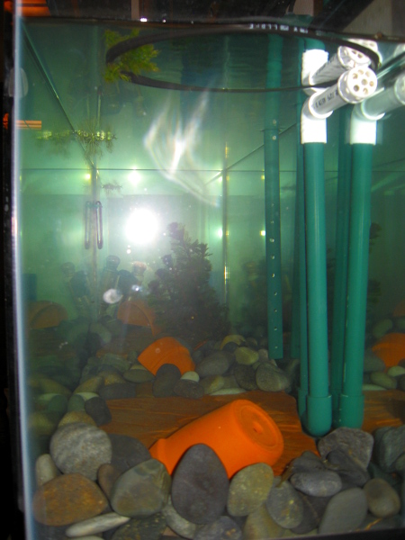 Side view with Tank Drain