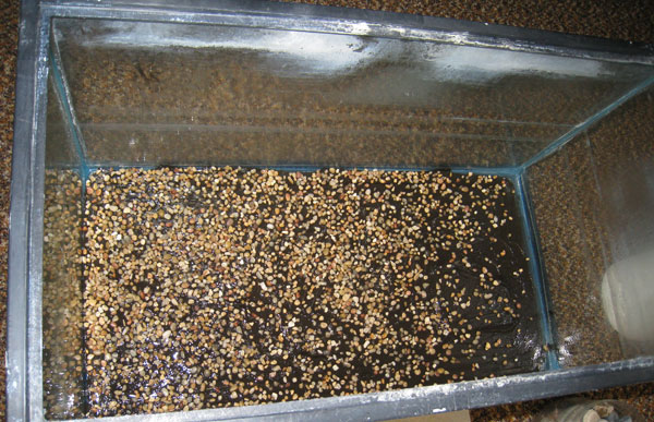silicone pebble substrate