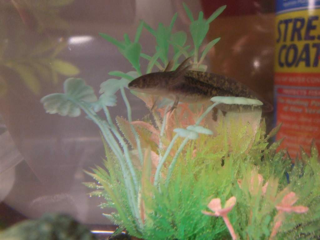 Sitting in his clump of glow-in-the-dark plants.