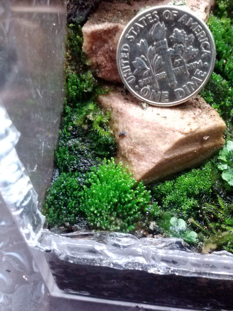 size comparison