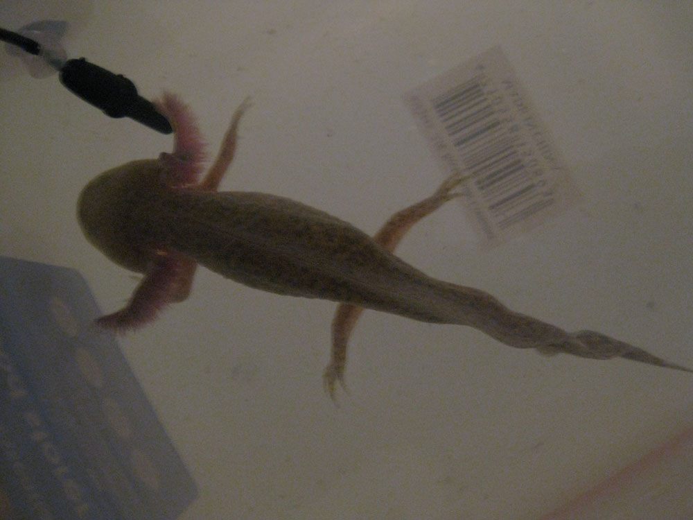 small photos 022
