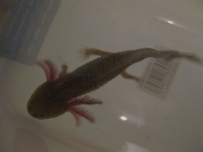 small photos 024