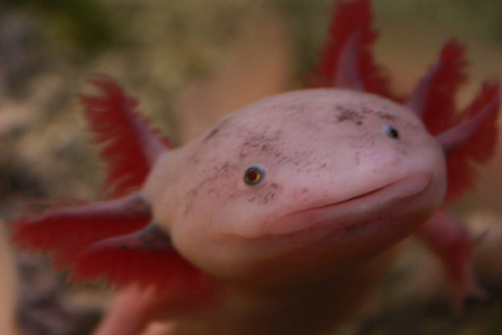 Smile!