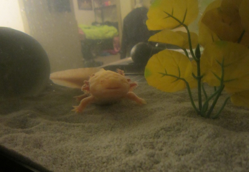 Smile!