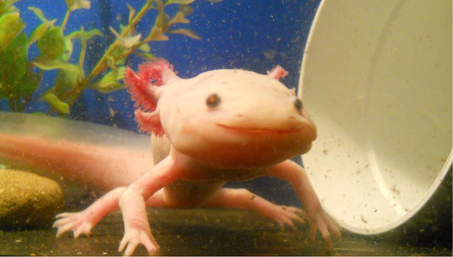 Smiling after food. :D