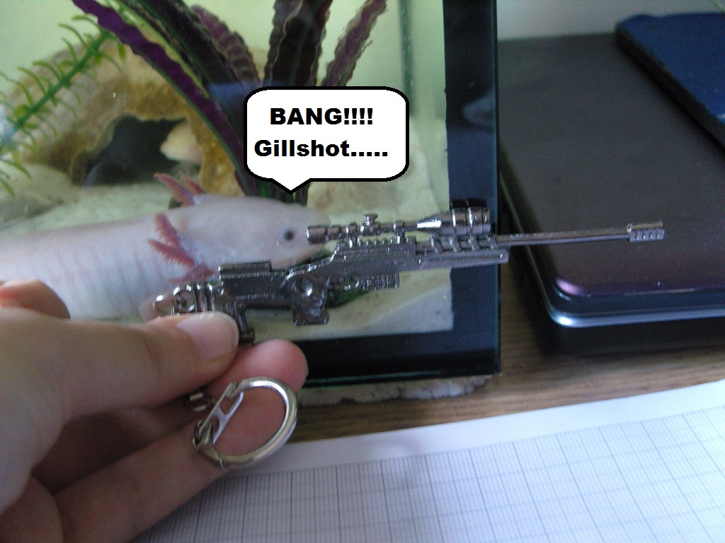 Sniper axie (Frangipane 2)