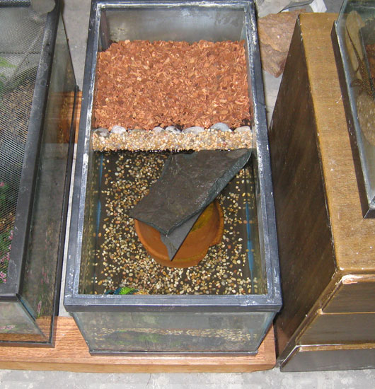 soil and bark substrate