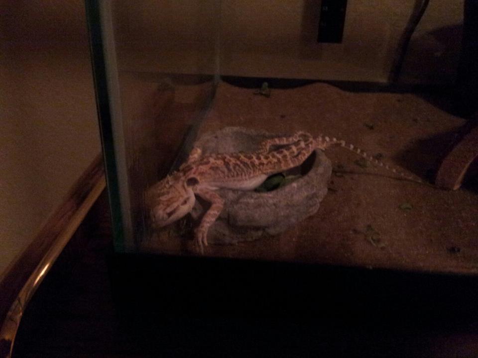 Someone had a rough day...