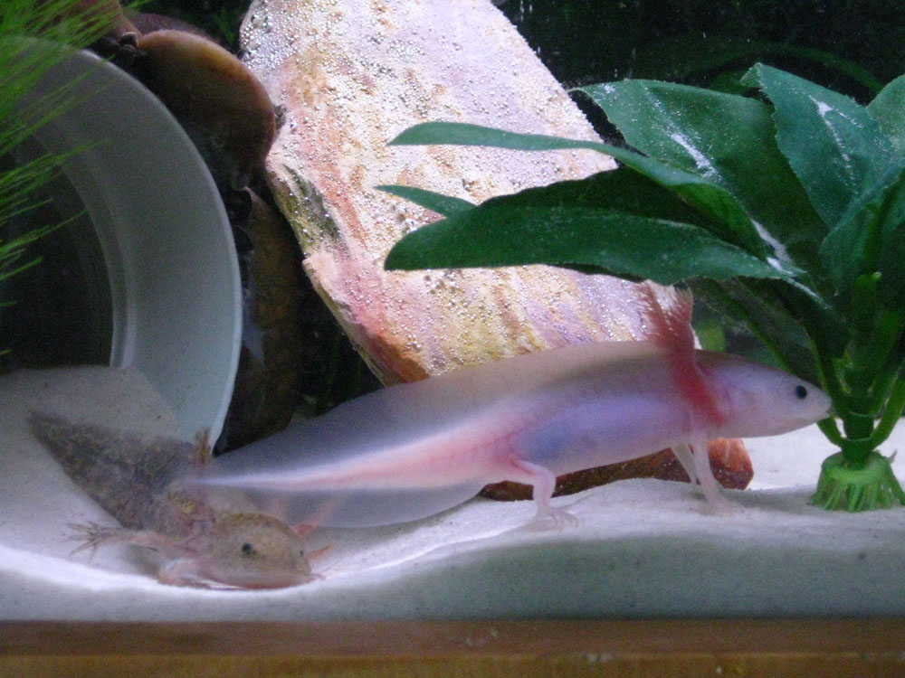 Squish!