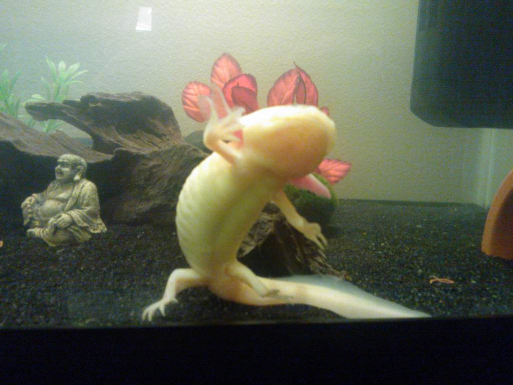 Stark doing the gangnam style dance