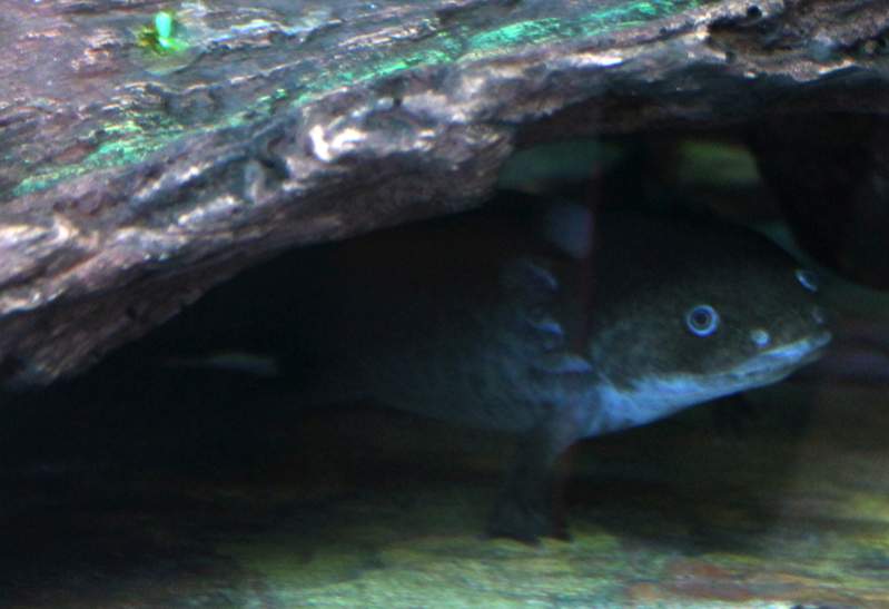 Steve, being photogenic