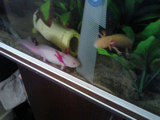 still checking each other out