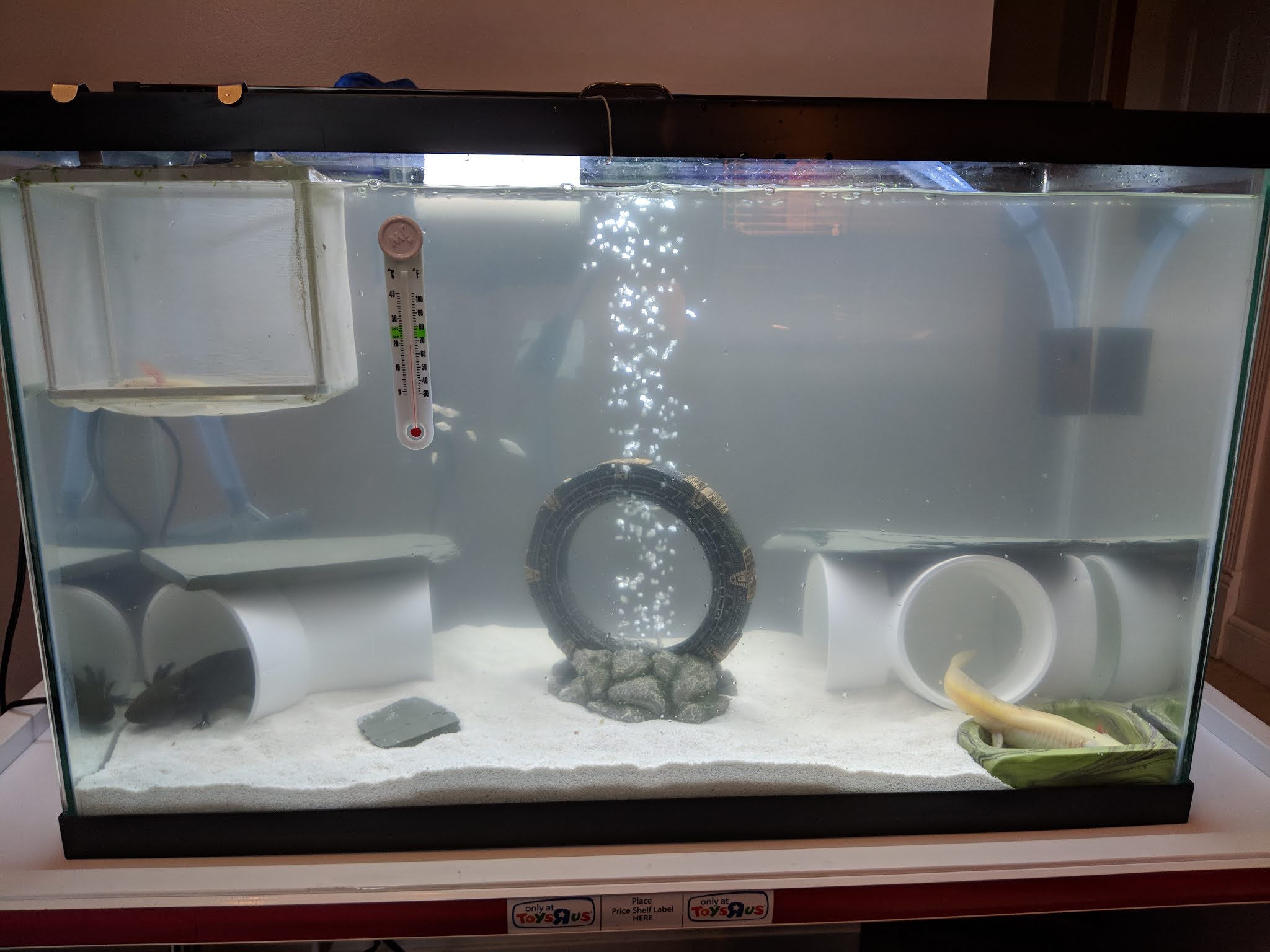 Switched to sand