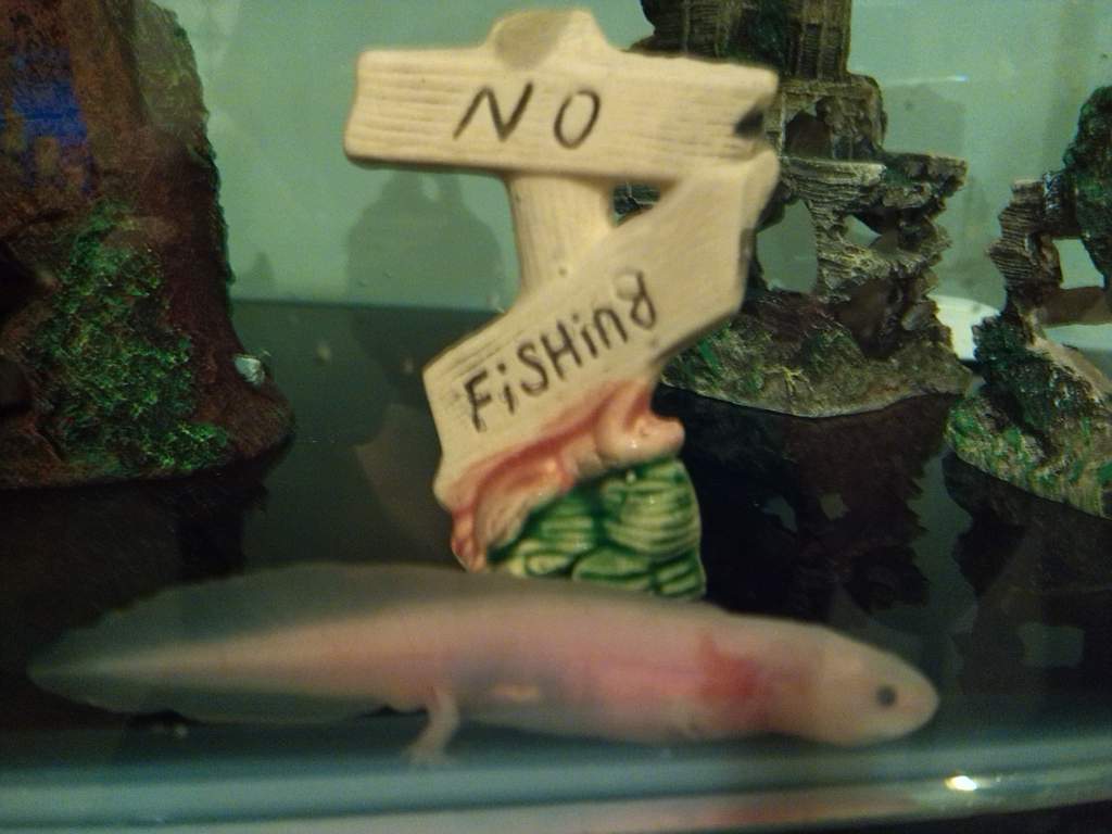 Taking refuge beside the no fishing sign xD
