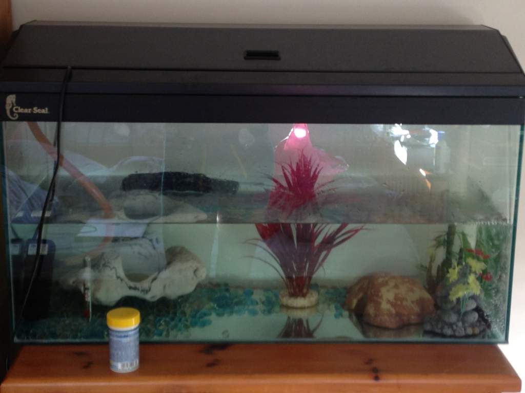 Tank 1