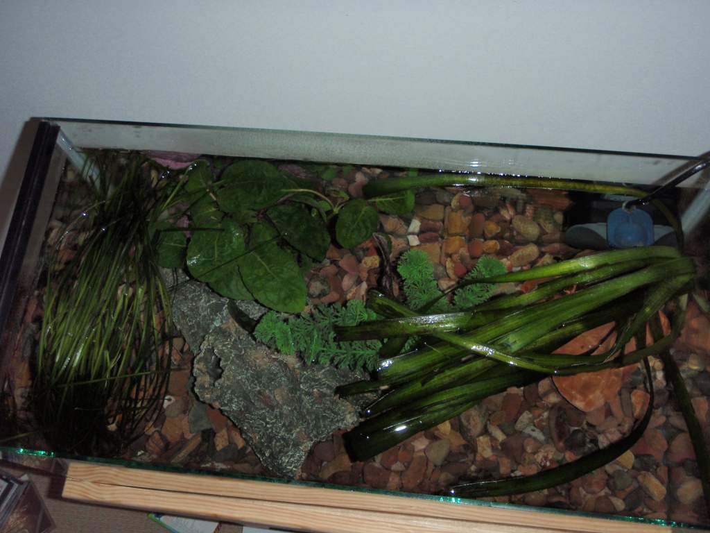 Tank from birds eye view