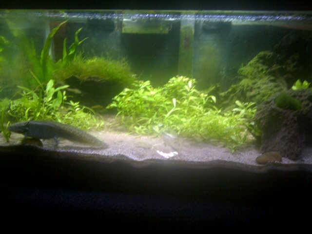 Tank in october 2013