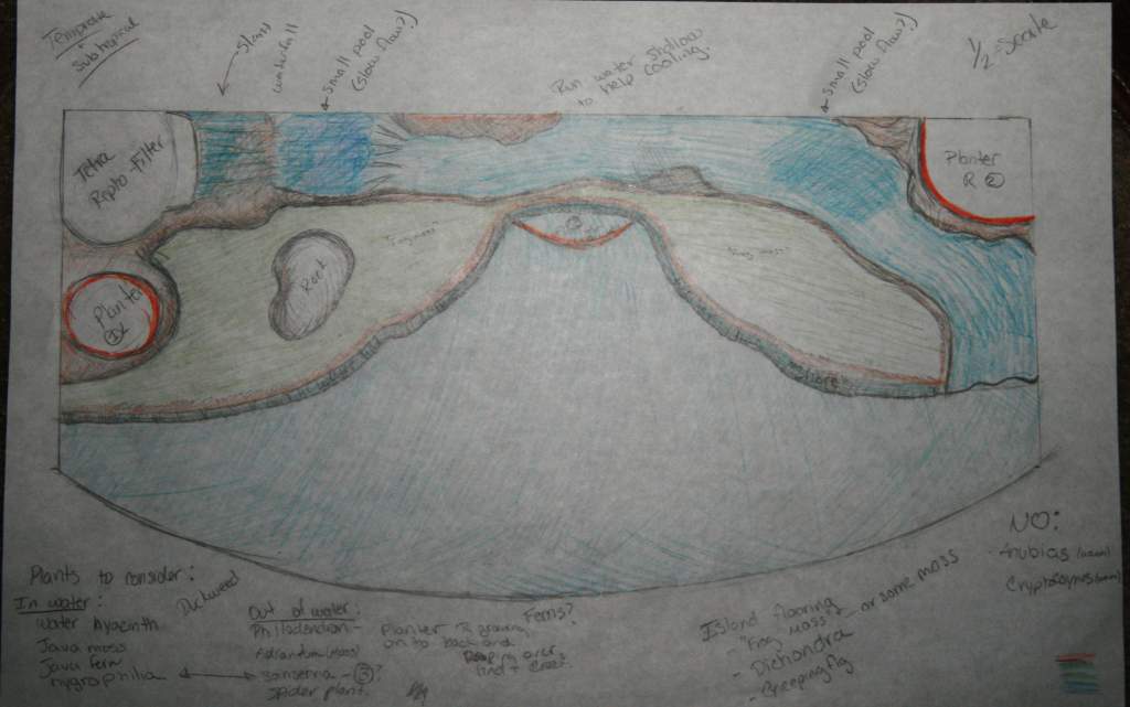 Tank Plan Top View