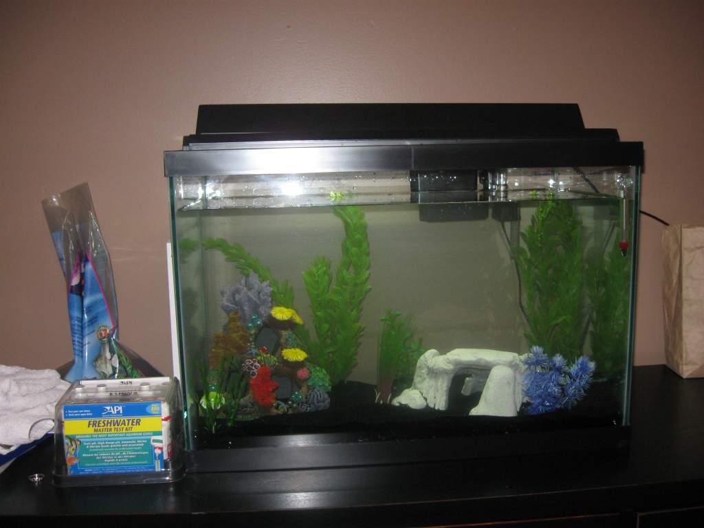 Tank set up complete!