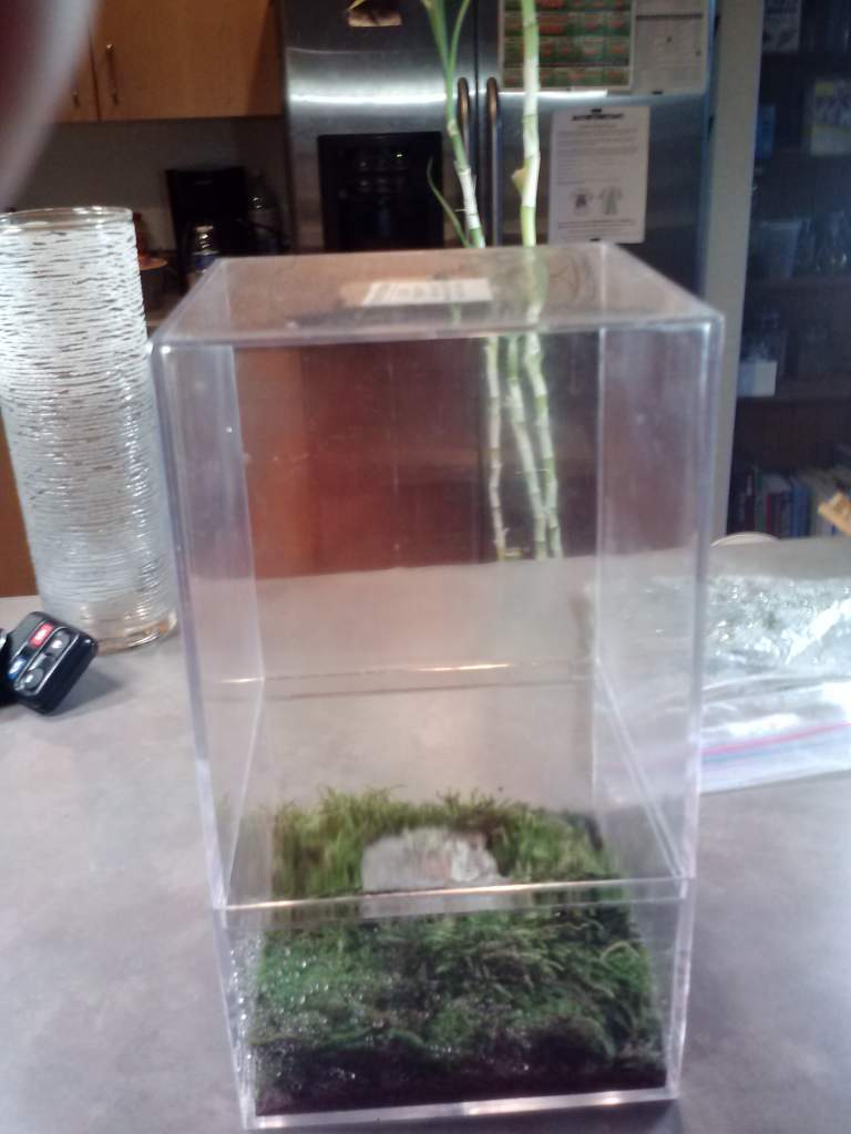 tank size