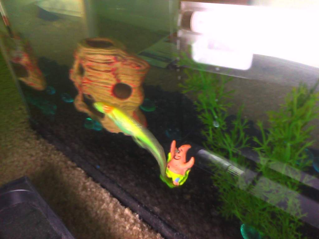 Tank view.