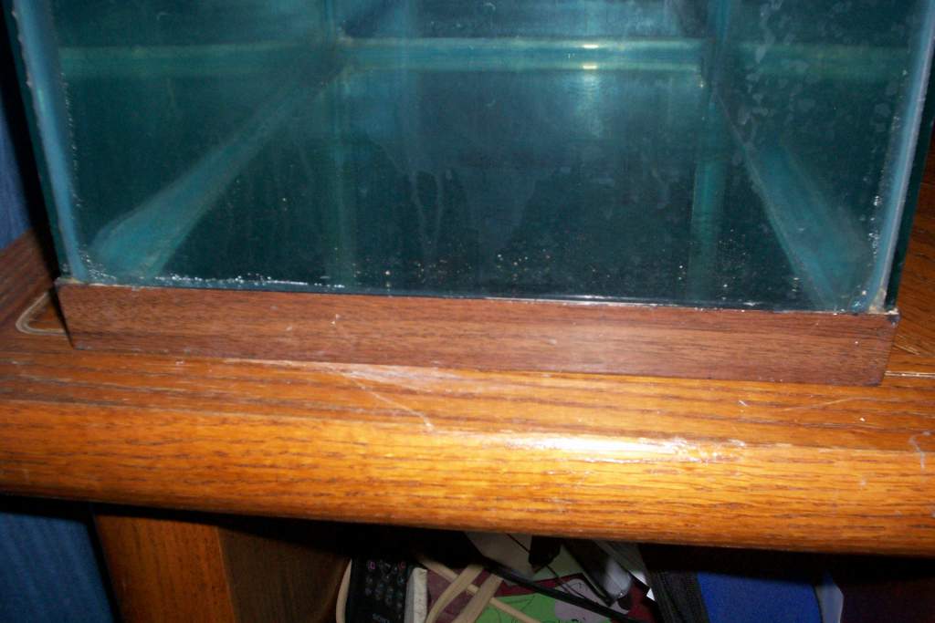 Tank Width 13"