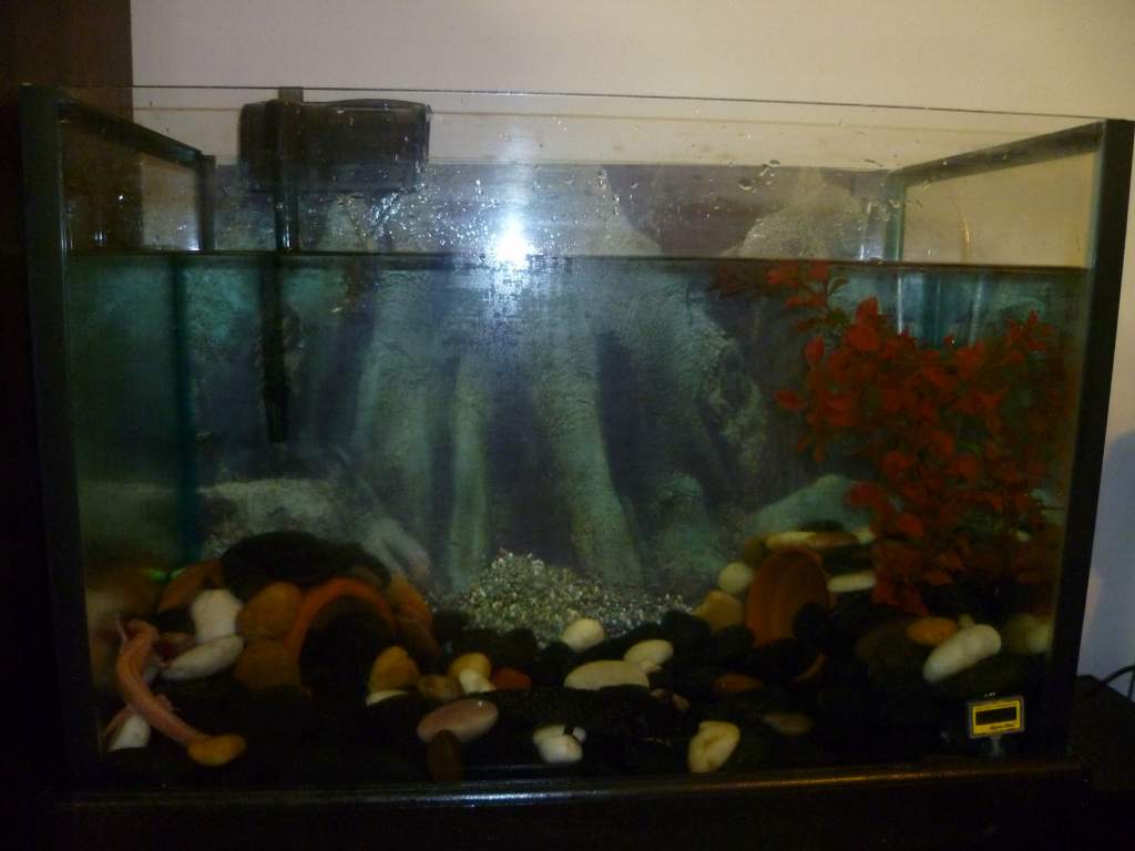 tank