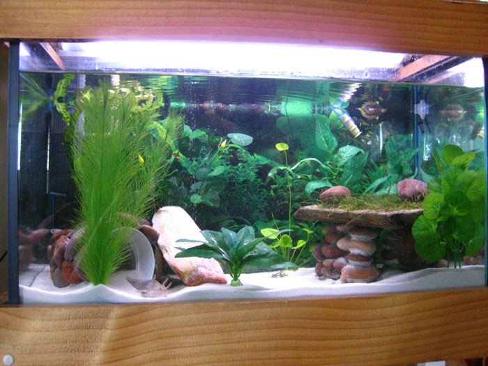 tank