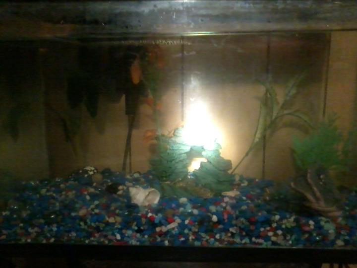 tank