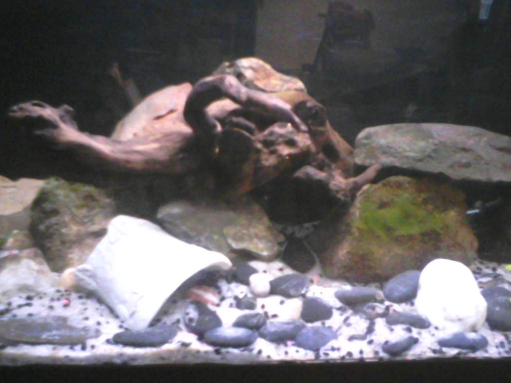 tank