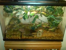 tank