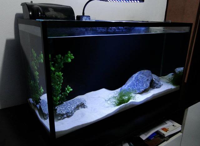 Tank