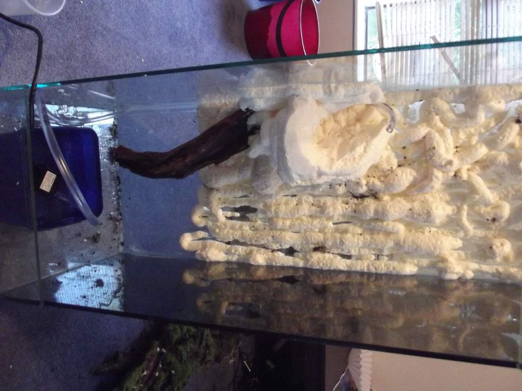 testing water fall. better than i thought