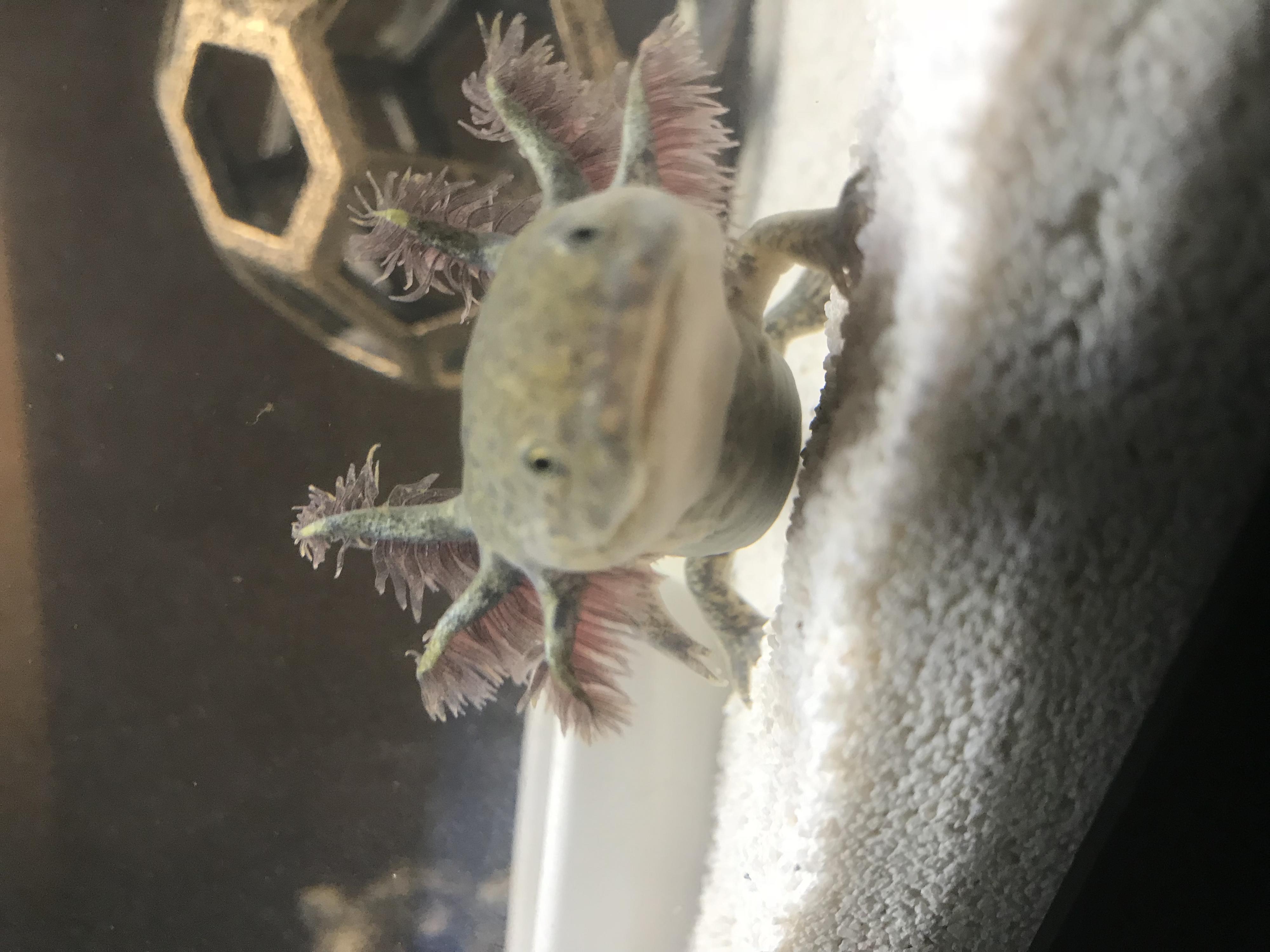 That face!