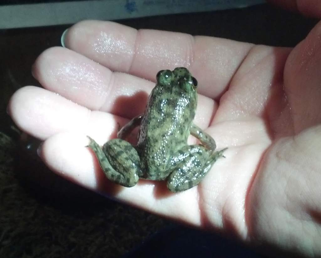 The baby.  We haven't named him yet.