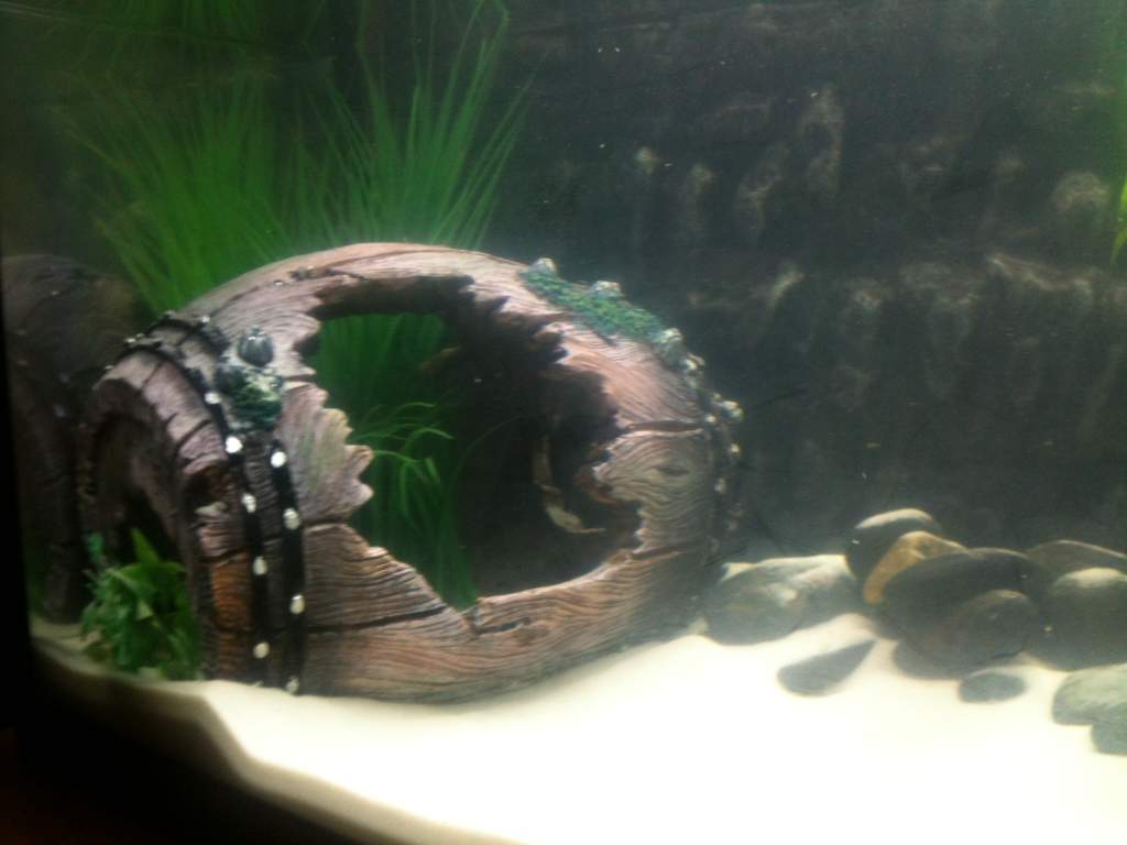 The Barrel!
