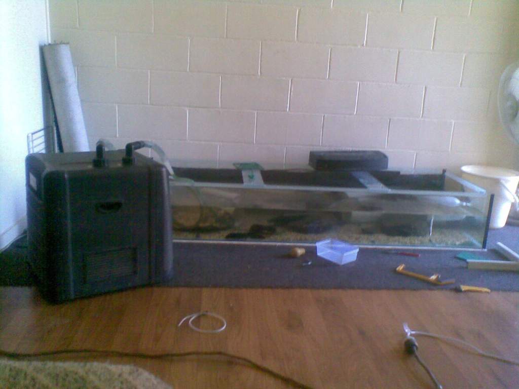 The day before my uncle and i finished building the new tank stand out of recycled materials as you can see kinda hard to get closer shots of the tank