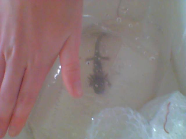 The day I got Micha :)