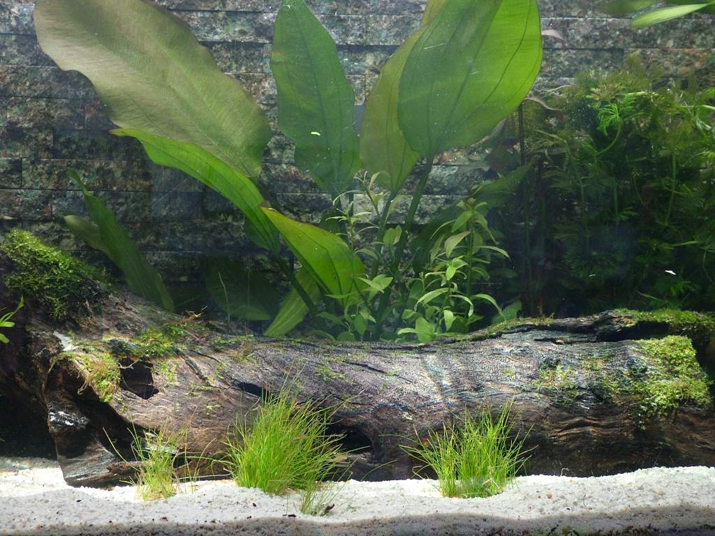 The log in the sun.. Beautiful