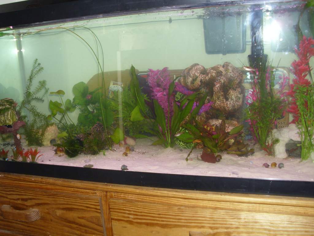 the new set-up
