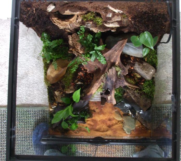 The rocks, in the bottom right corner, have a small pump that draws water from the false bottom. The water then flows over the rocks and mimics a slow