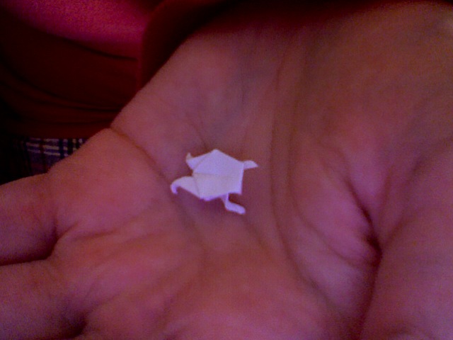 the smaller frog in the palm of my hand