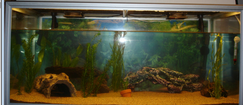 The tank without the 3+