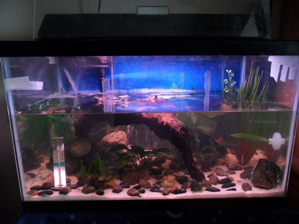 The tank!